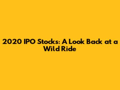 2020 IPO Stocks: A Look Back at a Wild Ride