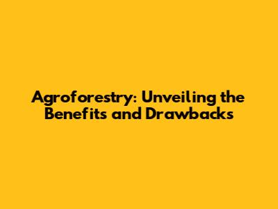 Agroforestry: Unveiling the Benefits and Drawbacks