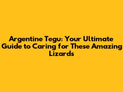 Argentine Tegu: Your Ultimate Guide to Caring for These Amazing Lizards