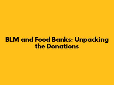 BLM and Food Banks: Unpacking the Donations