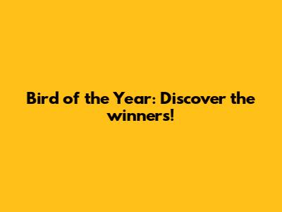 Bird of the Year: Discover the winners!