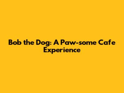 Bob the Dog: A Paw-some Cafe Experience
