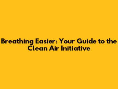 Breathing Easier: Your Guide to the Clean Air Initiative