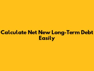 Calculate Net New Long-Term Debt Easily