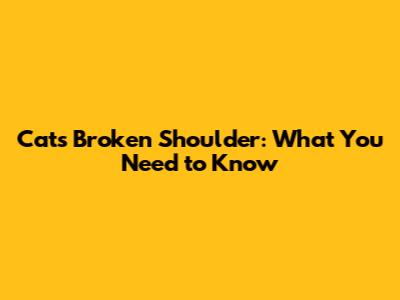 Cat's Broken Shoulder: What You Need to Know