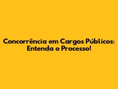 Concorrência em Cargos Públicos: Entenda o Processo!