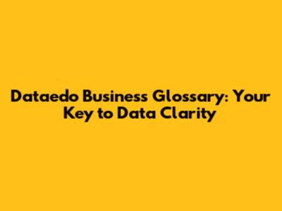 Dataedo Business Glossary: Your Key to Data Clarity