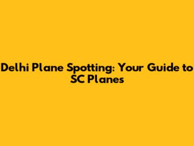 Delhi Plane Spotting: Your Guide to SC Planes