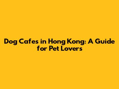 Dog Cafes in Hong Kong: A Guide for Pet Lovers