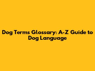 Dog Terms Glossary: A-Z Guide to Dog Language