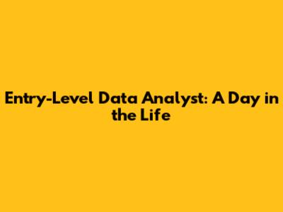 Entry-Level Data Analyst: A Day in the Life