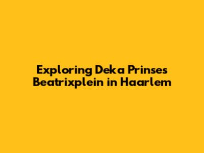 Exploring Deka Prinses Beatrixplein in Haarlem