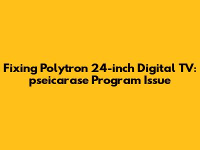 Fixing Polytron 24-inch Digital TV: pseicarase Program Issue