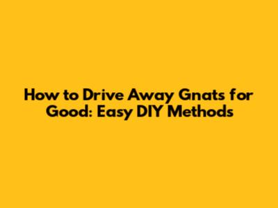 How to Drive Away Gnats for Good: Easy DIY Methods