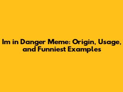 I'm in Danger Meme: Origin, Usage, and Funniest Examples