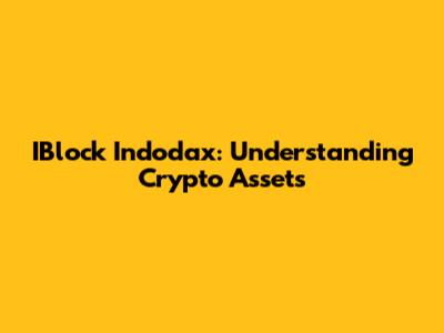 IBlock Indodax: Understanding Crypto Assets