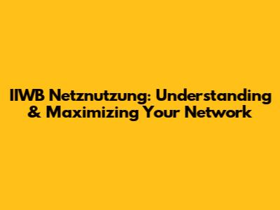 IIWB Netznutzung: Understanding & Maximizing Your Network