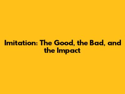 Imitation: The Good, the Bad, and the Impact