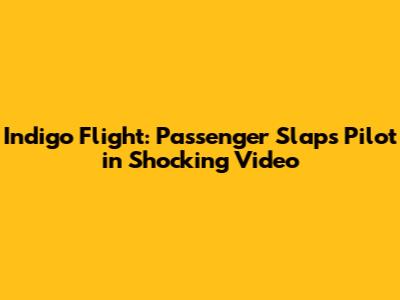 Indigo Flight: Passenger Slaps Pilot in Shocking Video