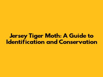 Jersey Tiger Moth: A Guide to Identification and Conservation