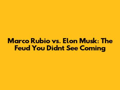 Marco Rubio vs. Elon Musk: The Feud You Didn't See Coming