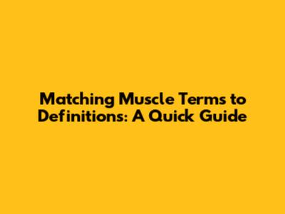 Matching Muscle Terms to Definitions: A Quick Guide