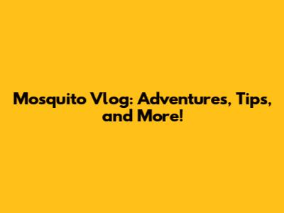 Mosquito Vlog: Adventures, Tips, and More!