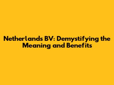 Netherlands BV: Demystifying the Meaning and Benefits