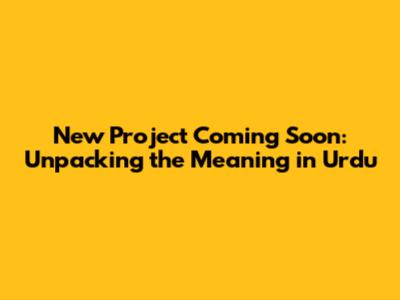 New Project Coming Soon: Unpacking the Meaning in Urdu