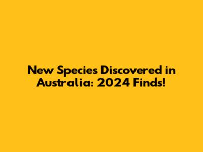 New Species Discovered in Australia: 2024 Finds!
