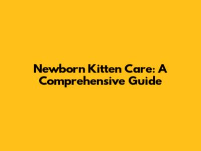 Newborn Kitten Care: A Comprehensive Guide