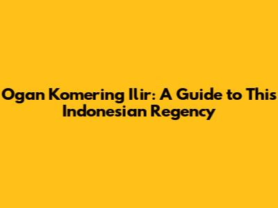 Ogan Komering Ilir: A Guide to This Indonesian Regency