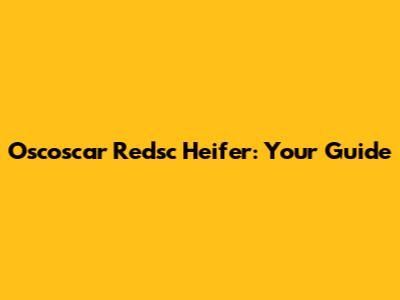 Oscoscar Redsc Heifer: Your Guide