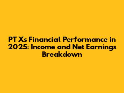 PT X's Financial Performance in 2025: Income and Net Earnings Breakdown