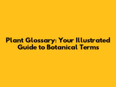 Plant Glossary: Your Illustrated Guide to Botanical Terms