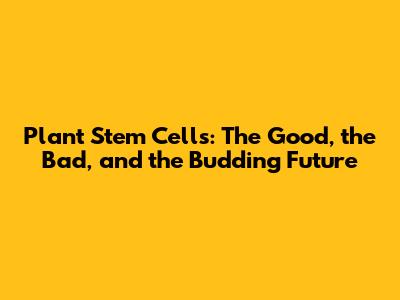 Plant Stem Cells: The Good, the Bad, and the Budding Future