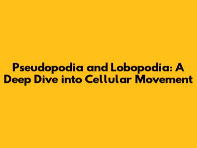 Pseudopodia and Lobopodia: A Deep Dive into Cellular Movement