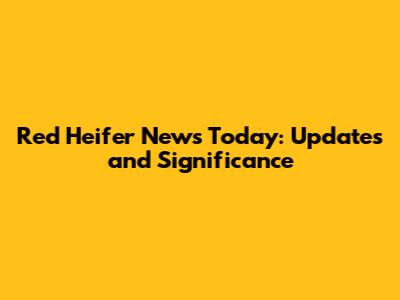 Red Heifer News Today: Updates and Significance