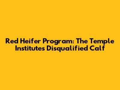 Red Heifer Program: The Temple Institute's Disqualified Calf
