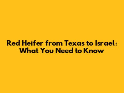 Red Heifer from Texas to Israel: What You Need to Know