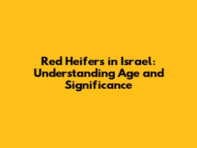 Red Heifers in Israel: Understanding Age and Significance