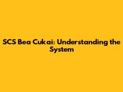 SCS Bea Cukai: Understanding the System