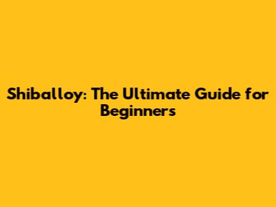 Shiballoy: The Ultimate Guide for Beginners