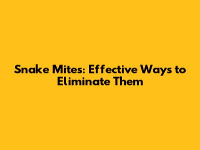 Snake Mites: Effective Ways to Eliminate Them