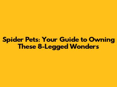 Spider Pets: Your Guide to Owning These 8-Legged Wonders