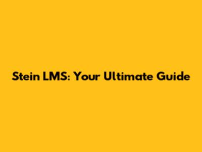 Stein LMS: Your Ultimate Guide