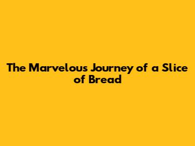 The Marvelous Journey of a Slice of Bread