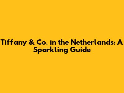 Tiffany & Co. in the Netherlands: A Sparkling Guide