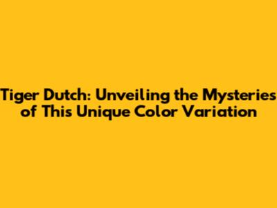 Tiger Dutch: Unveiling the Mysteries of This Unique Color Variation