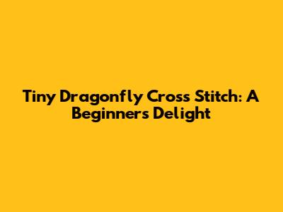 Tiny Dragonfly Cross Stitch: A Beginner's Delight